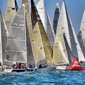 Barcolana by Marco Poli - Sports & Fitness Watersports