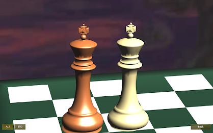 Chess Pro 3D poster 14