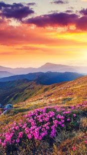 Download Nature Live Wallpaper APK