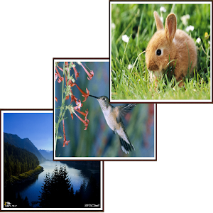 Smart Wallpaper Changer (WAW).apk 1.2