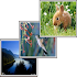Smart Wallpaper Changer (WAW)1.2