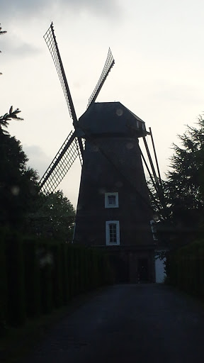 Die Dahlen-Mühle