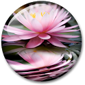 Beautiful Live Wallpaper icon