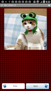 How to mod ねこふぉと２ lastet apk for bluestacks