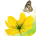 SPRING HD LIVE WALLPAPER PRO logo