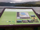 Sete Cidades Board