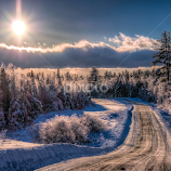 by G. Stetson -   ( icy forest, snow, winter wonderland, winter, snowy road, landscape )