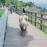 大黑松小倆口 - 埔里元首館