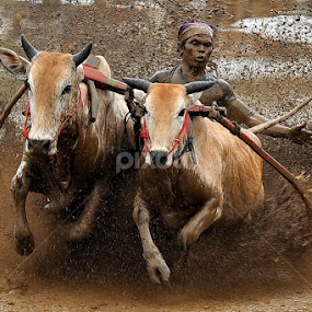 Hight Speed by Yustinus Andhi Wuryanto - News & Events Sports