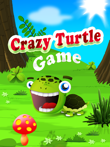 Crazy Turtle