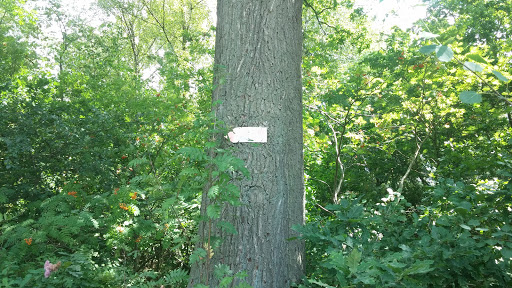 Schild am Baum