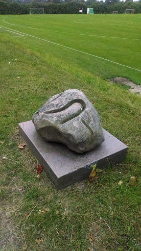 Sten Med Runer