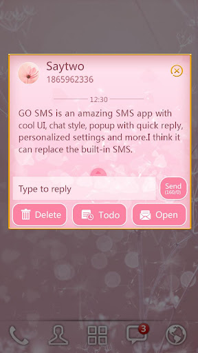 免費下載個人化APP|GO SMS PLANT A WISH THEME app開箱文|APP開箱王