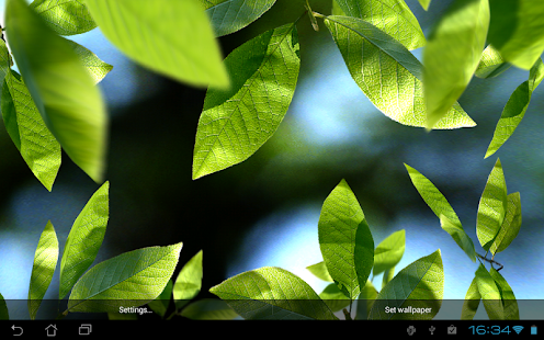 Fresh Leaves - screenshot thumbnail