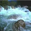 Wild River Flow logo