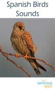 Spanish Birds Sounds Screenshots 16