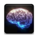 The Free IQ Test