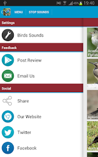 South American Birds Sounds Screenshots 23
