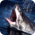 Shark – PuzzleBox logo