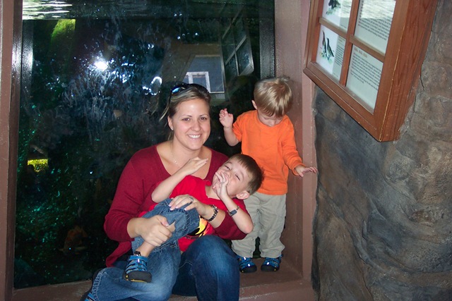 [Sea Aquarium April 2007 (9)[2].jpg]