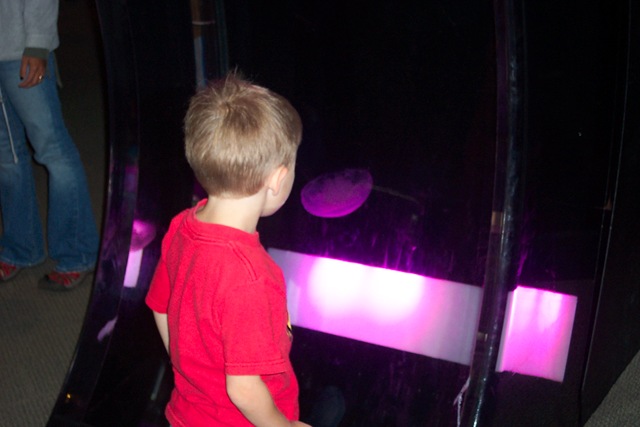 [Sea Aquarium April 2007[2].jpg]