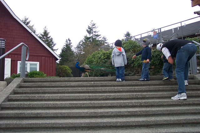 [Zoo With Buys Spring 2007 (6)[2].jpg]