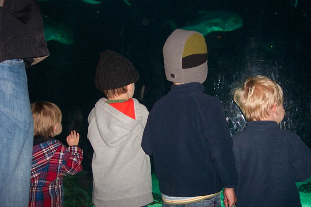 [Zoo With Buys Spring 2007 (7)[2].jpg]