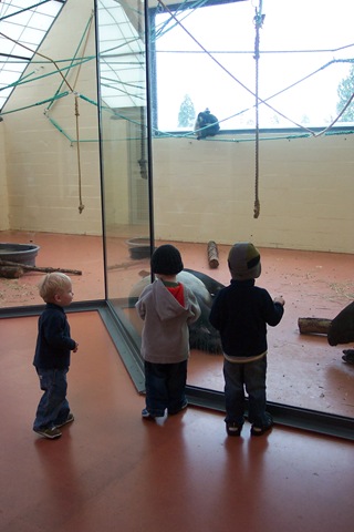 [Zoo With Buys Spring 2007 (13)[2].jpg]