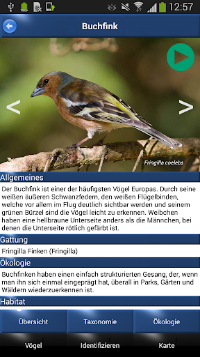 【免費書籍App】Vogel Id Schweiz - Gartenvögel-APP點子