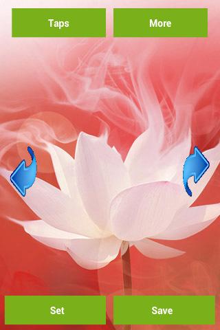 【免費個人化App】Lotus Flower Wallpapers-APP點子