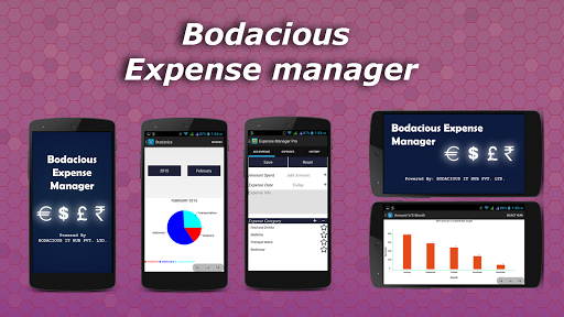 Bodacious Expense Manager Pro
