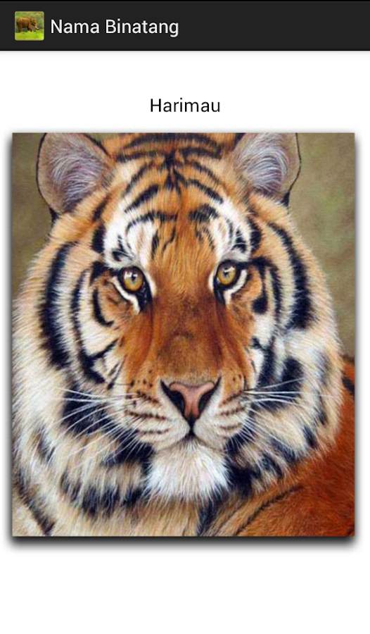  Nama  Binatang  Android Apps on Google  Play