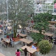 香草菲菲 芳香植物博物館