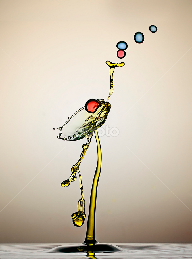 FOR YOU  by Robert  Fly - Abstract Water Drops & Splashes