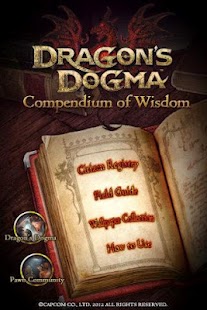 Dragon's Dogma Wisdom