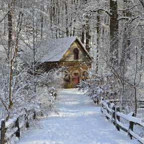 Winter Walk by Carl Testo - City,  Street & Park City Parks