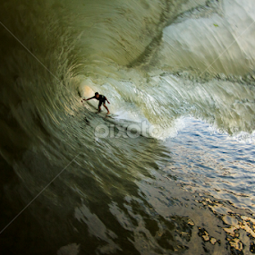 Sammy Giant Closeout by Dave Nilsen - Sports & Fitness Surfing