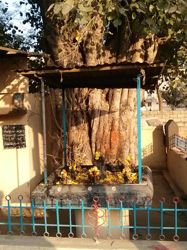 Holy Peepal Tree and Snake God