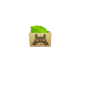 XWind Downloader icon