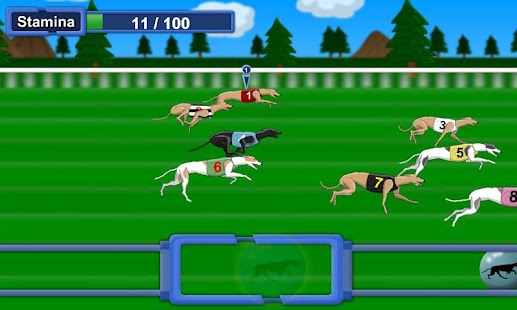 Greyhound Racer