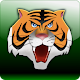 Carnivorous animals and facts APK