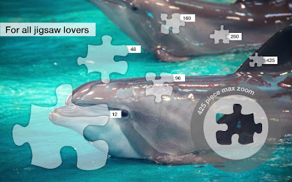 Dolphin Jigsaw Puzzles Demo poster 10
