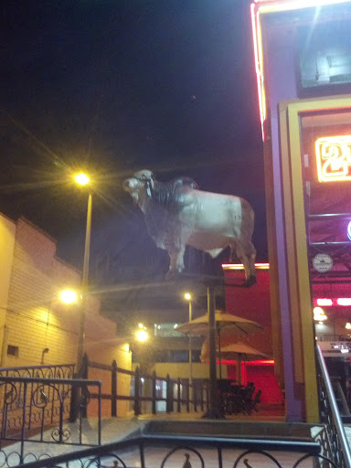 Vaca El Rodeo