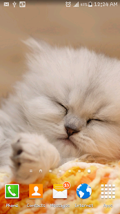 How to get Innocent Cat Live Wallpaper patch 1.0 apk for bluestacks