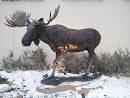 Moose in Bronze