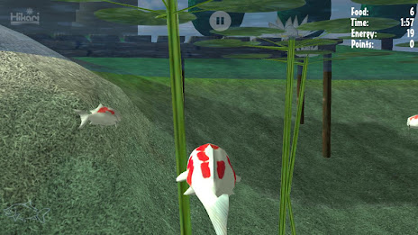 Karl the Koi poster 3