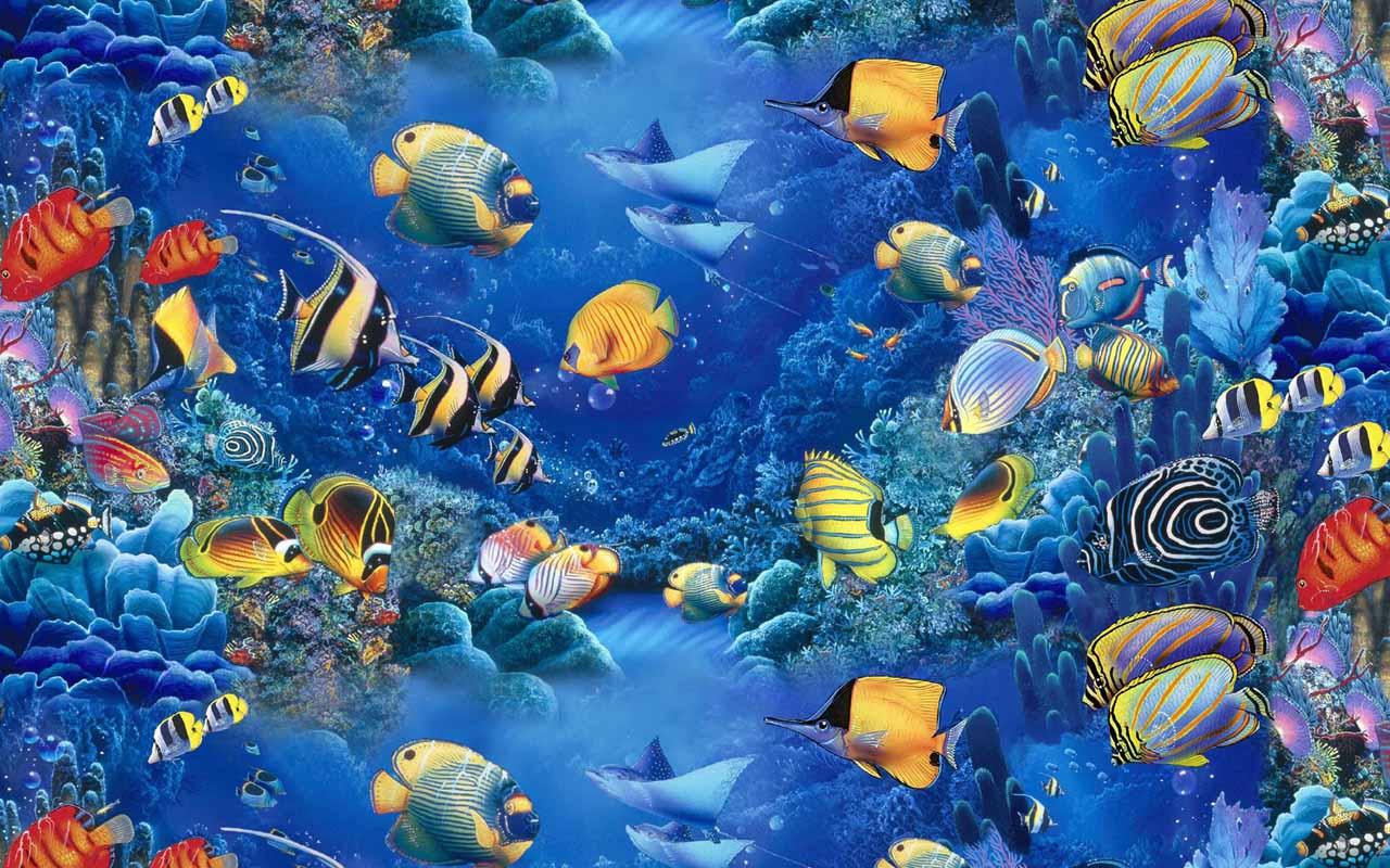 Aquarium HD Wallpaper Apl Android Di Google Play
