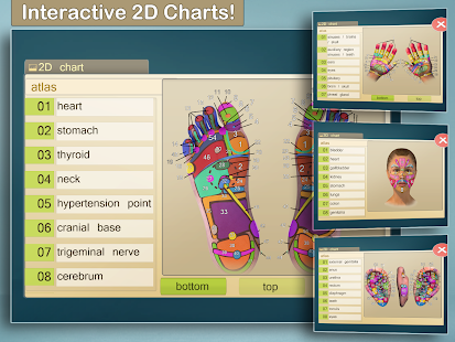 Free Total Reflexology 3D APK for PC