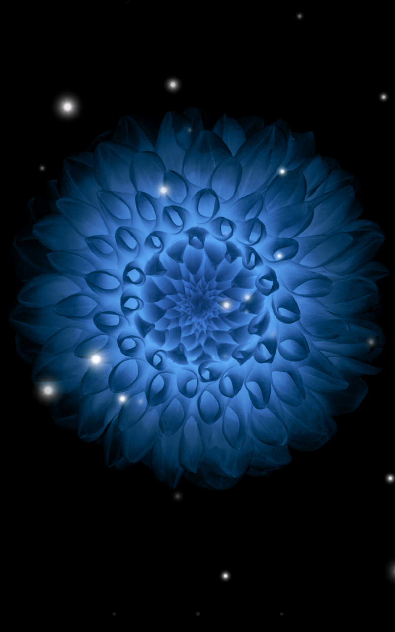 Galaxy Flowers Live Wallpaper Screen 2