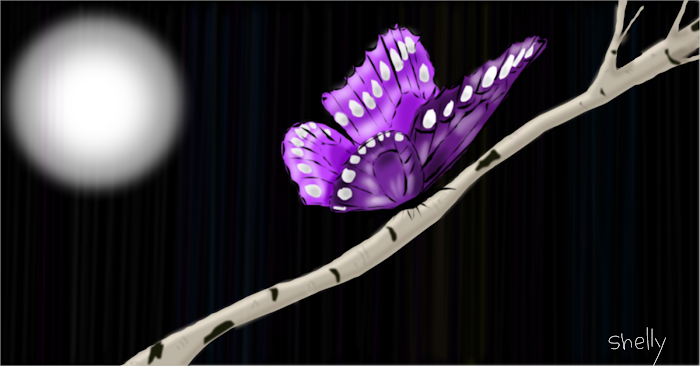 Purple Butterfly